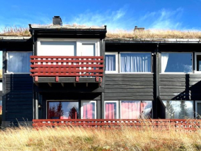 Great apartment with a view and ski inout Hafjell